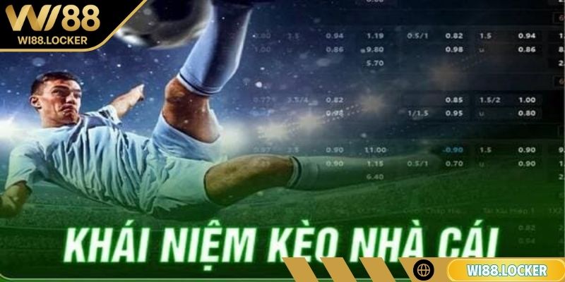 Tổng quan về kèo nhà cái WI88